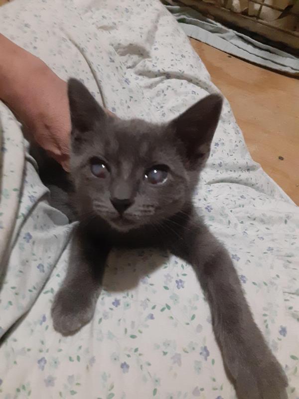 TuckersMom uploaded   6 hour/s ago