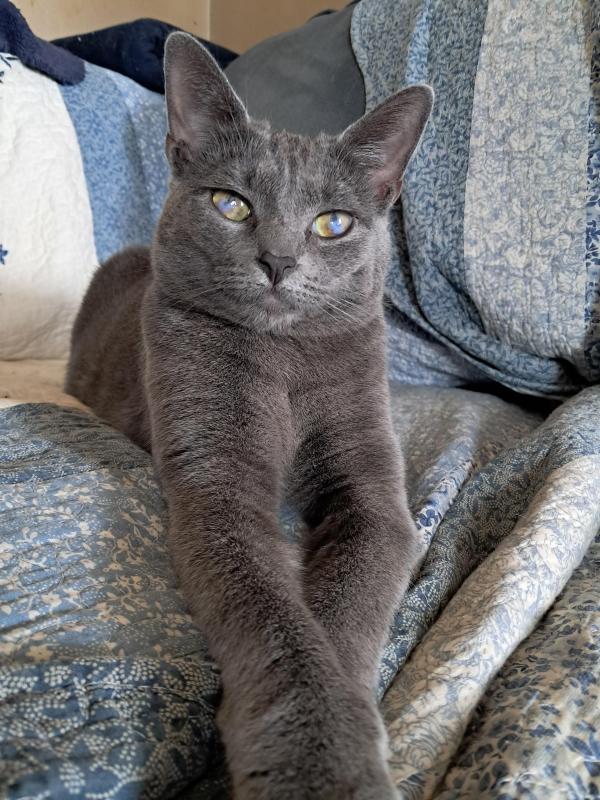 TuckersMom uploaded   78  day/s  ago