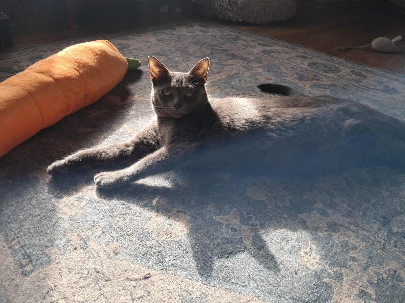 TuckersMom uploaded   11  day/s  ago