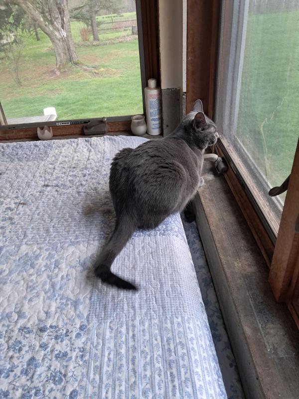 TuckersMom uploaded   1  day/s  ago