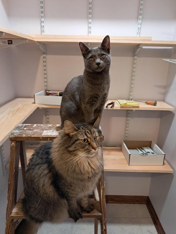 TuckersMom uploaded   100  day/s  ago