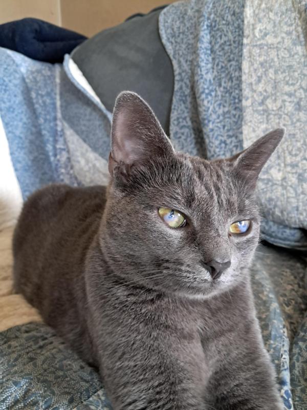 TuckersMom uploaded   78  day/s  ago