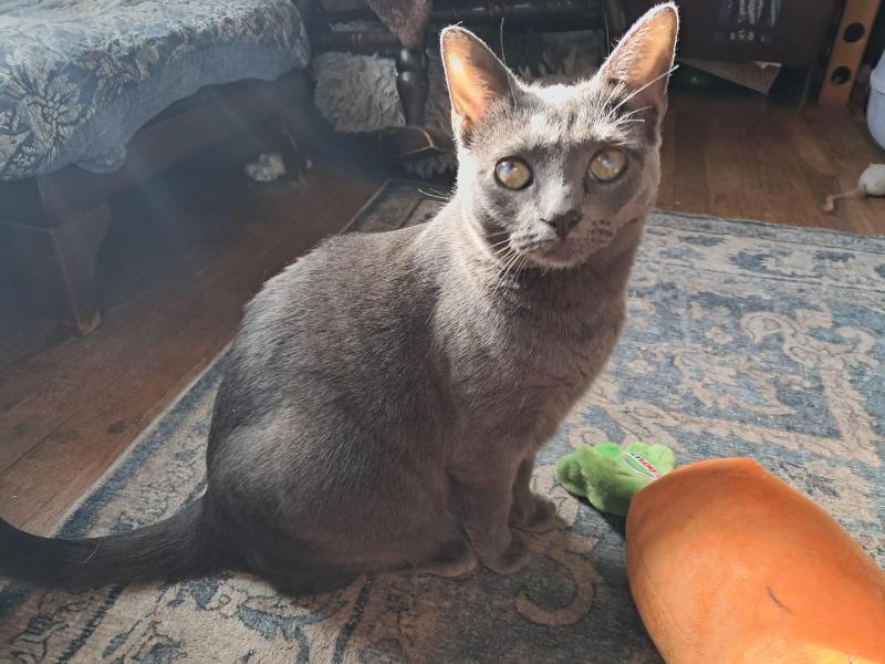 TuckersMom uploaded   11  day/s  ago