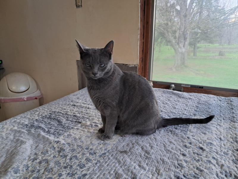 TuckersMom uploaded   1  day/s  ago