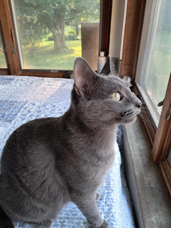 Allie of the TuckersMom family
