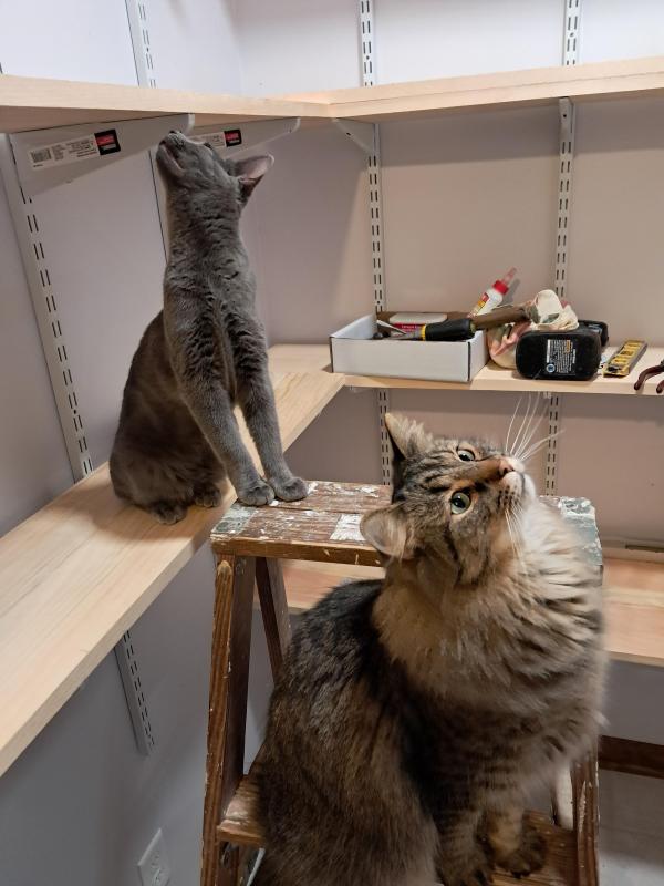 TuckersMom uploaded   100  day/s  ago