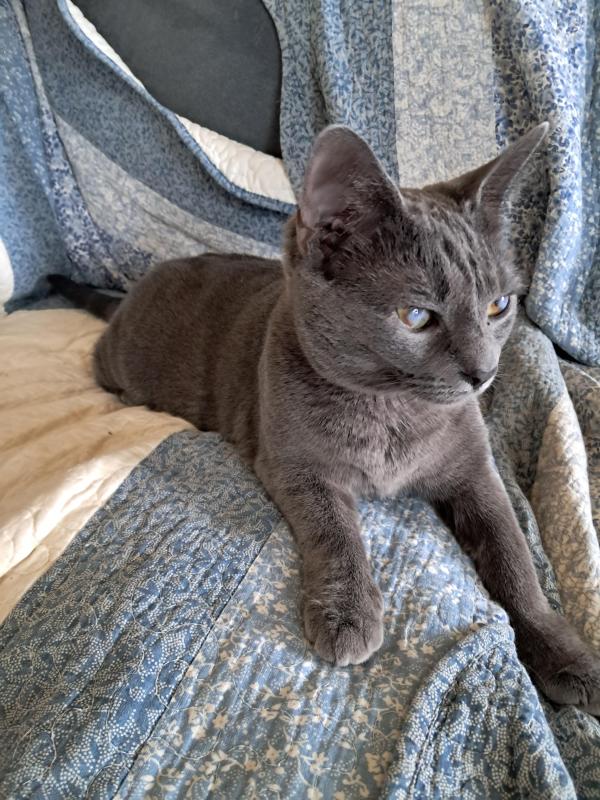 TuckersMom uploaded   78  day/s  ago