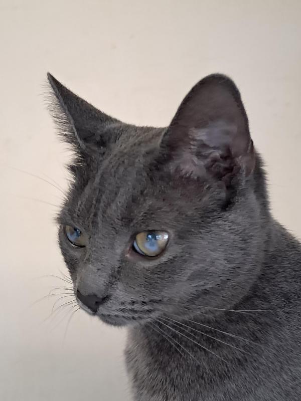 TuckersMom uploaded   1  day/s  ago