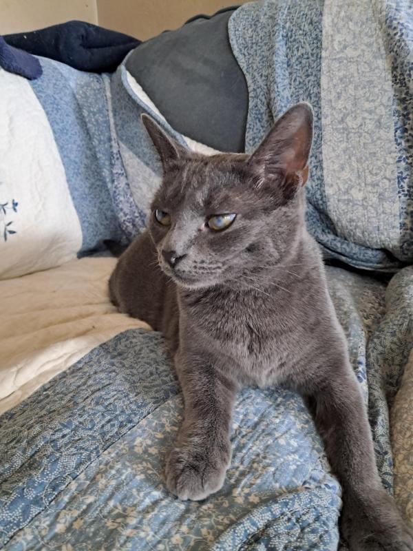 TuckersMom uploaded   78  day/s  ago