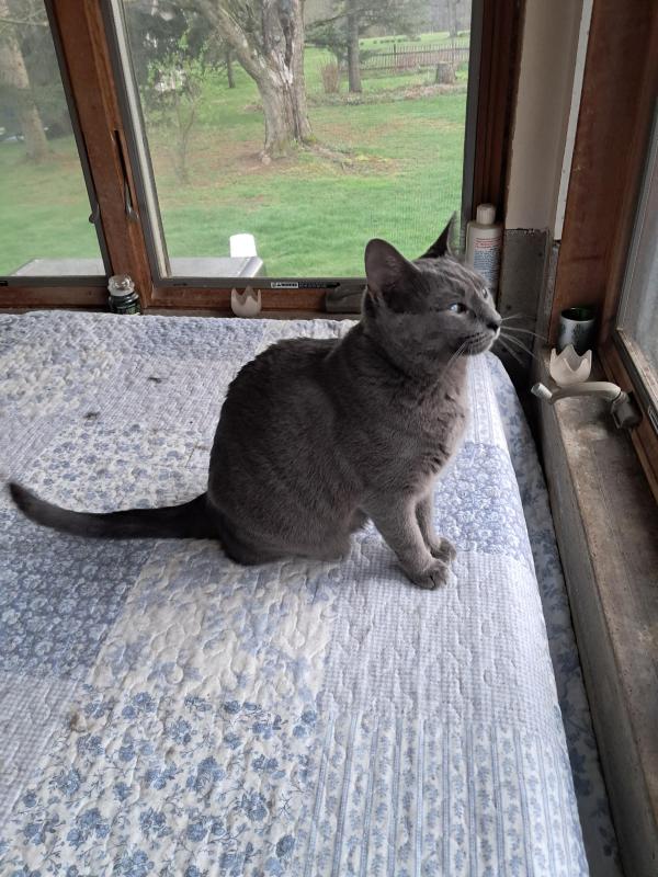 TuckersMom uploaded   1  day/s  ago