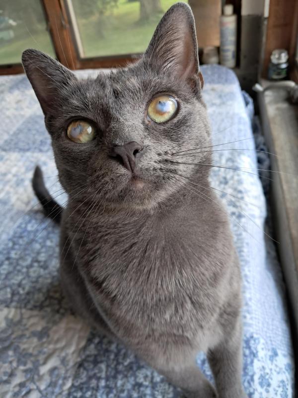 Allie of the TuckersMom family