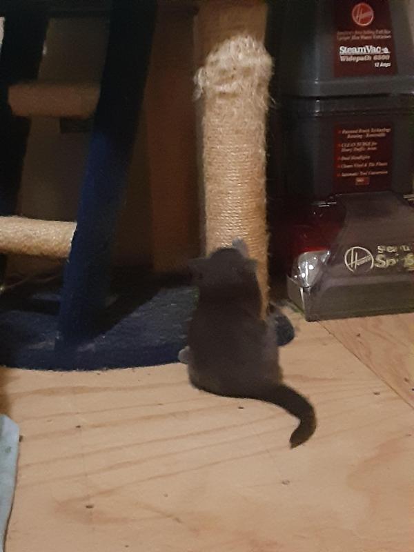 TuckersMom uploaded   6 hour/s ago