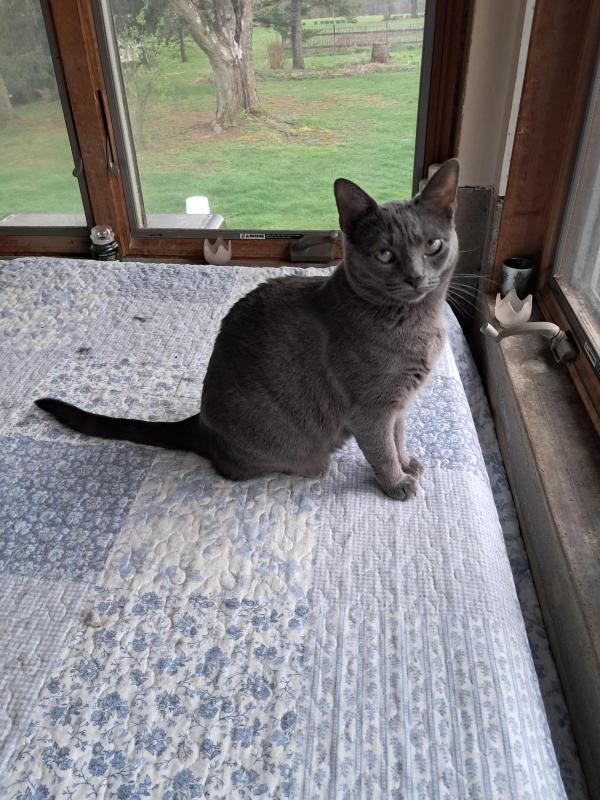 TuckersMom uploaded   1  day/s  ago