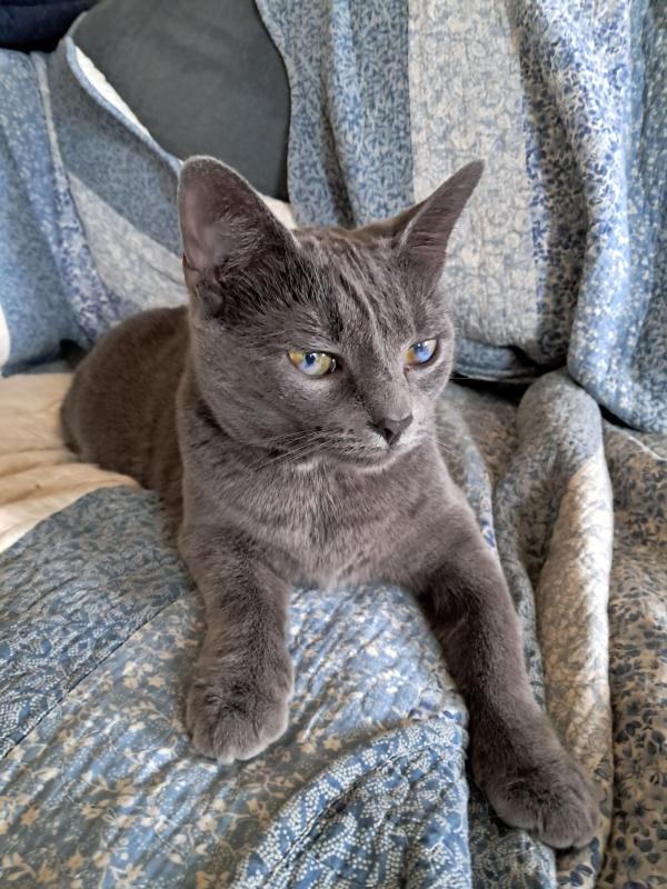 TuckersMom uploaded   78  day/s  ago