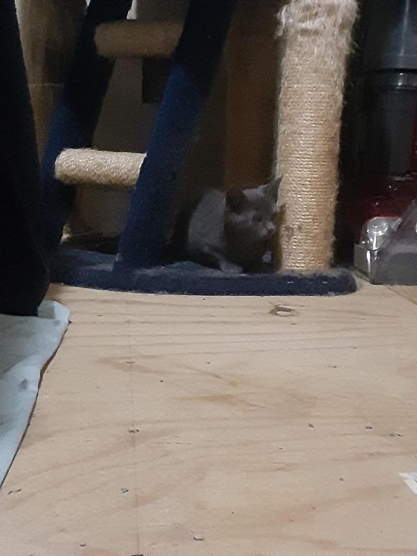 TuckersMom uploaded   6 hour/s ago