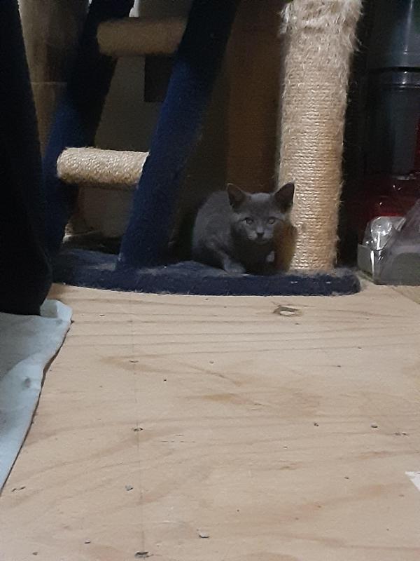 TuckersMom uploaded   6 hour/s ago