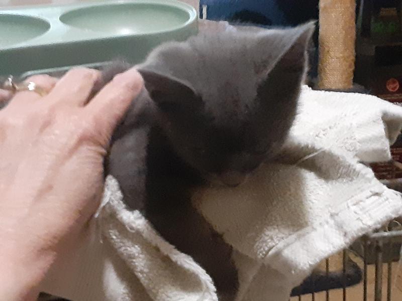 TuckersMom uploaded   6 hour/s ago