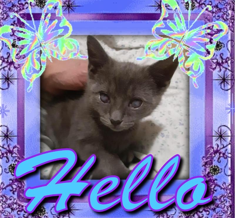 Allie of the TuckersMom family