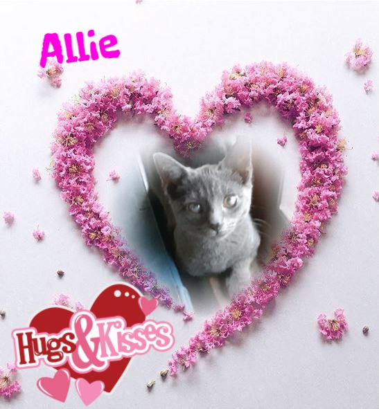 TuckersMom uploaded   98  day/s  ago