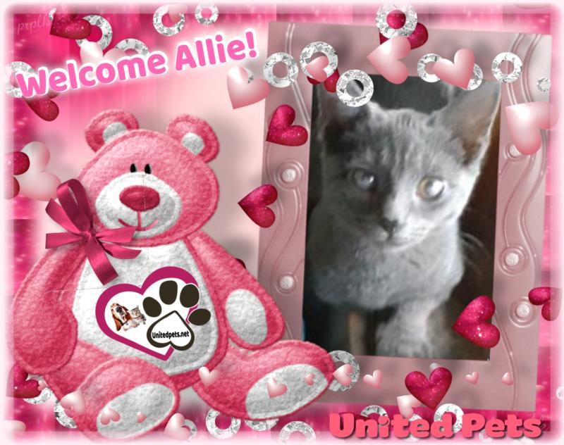 Allie of the TuckersMom family