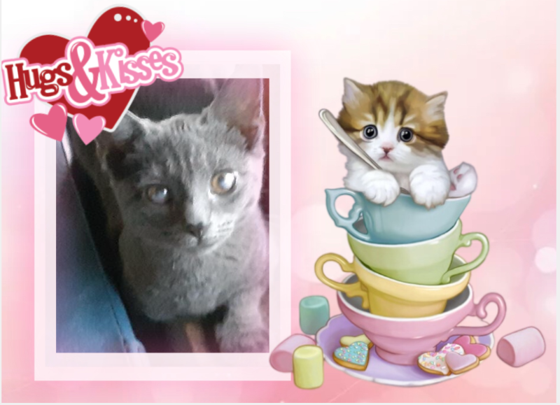 TuckersMom uploaded   98  day/s  ago