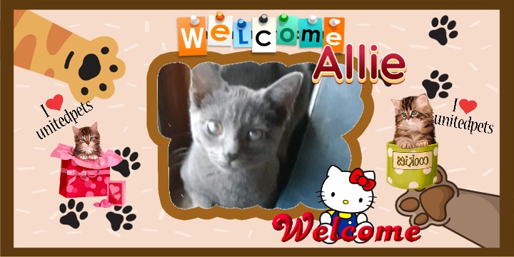 Allie of the TuckersMom family