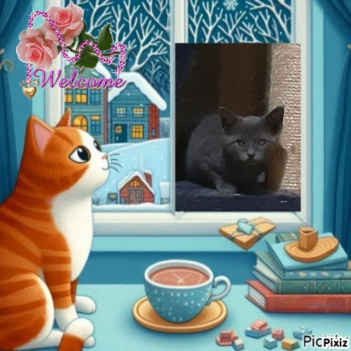 Allie of the TuckersMom family