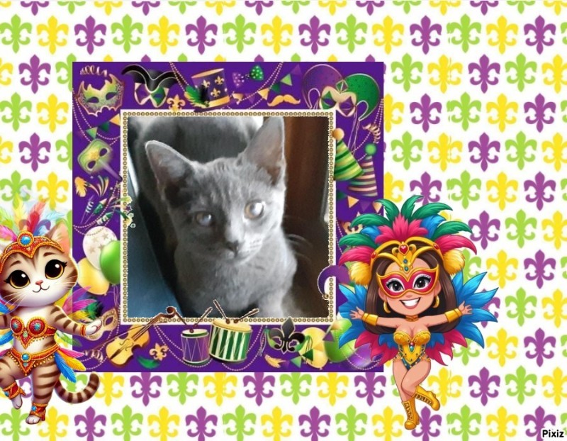 TuckersMom uploaded   98  day/s  ago