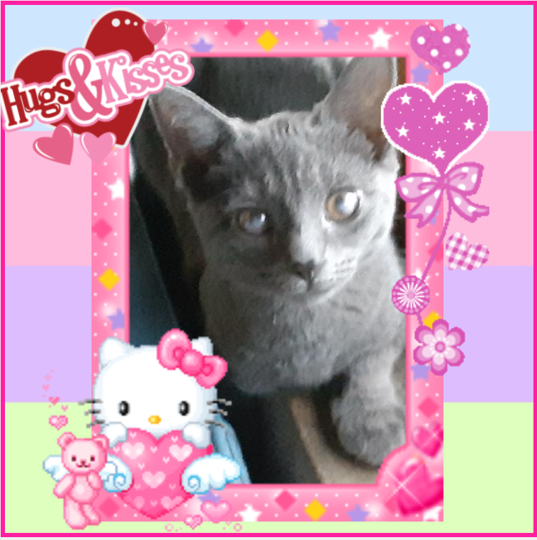 TuckersMom uploaded   98  day/s  ago