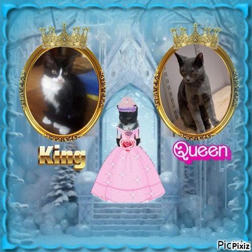 Allie of the TuckersMom family