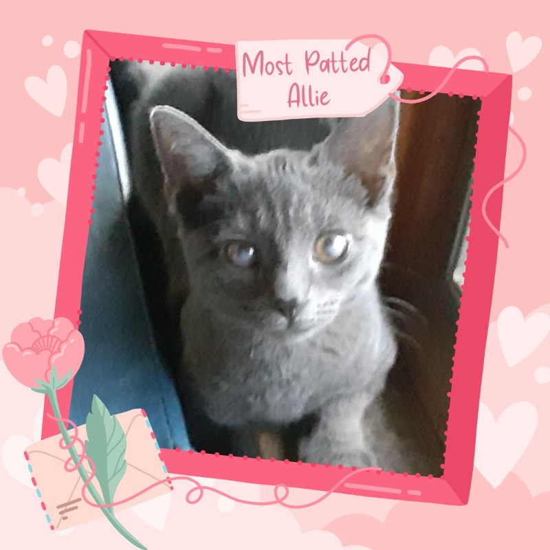 TuckersMom uploaded   98  day/s  ago