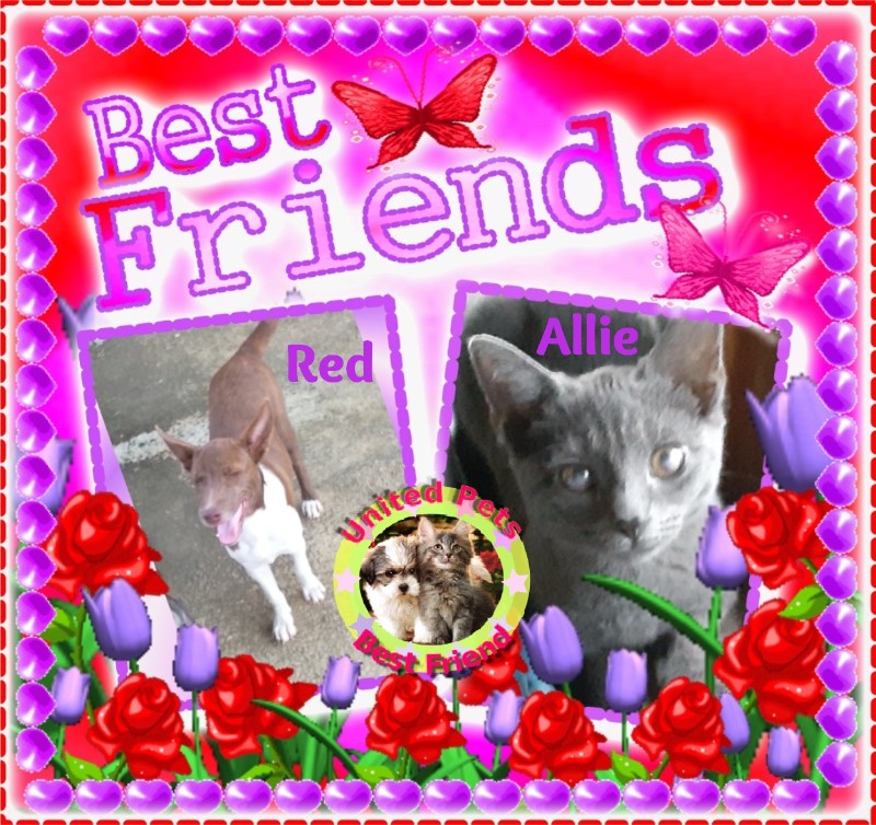 TuckersMom uploaded   98  day/s  ago