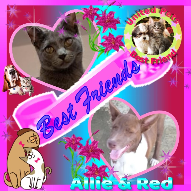 Allie of the TuckersMom family