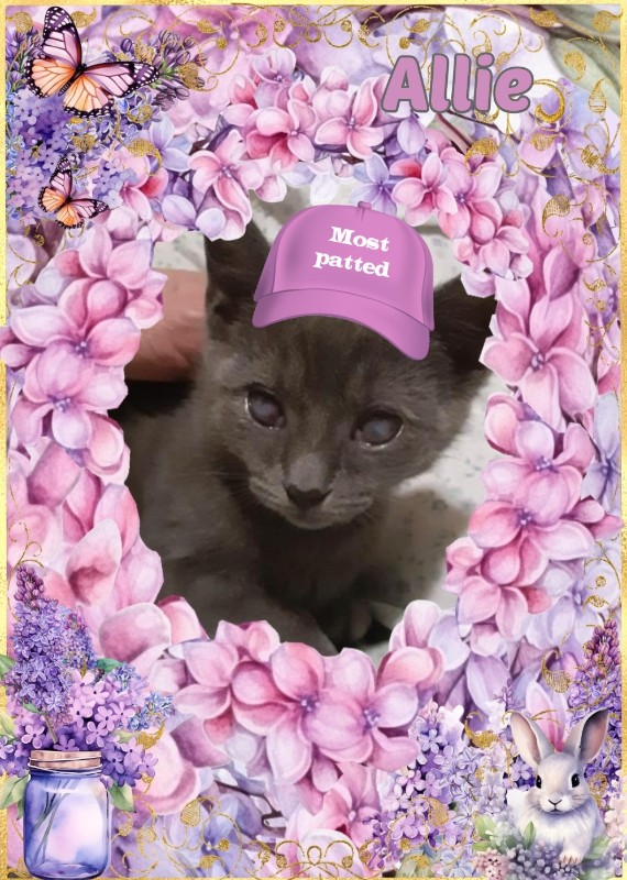 TuckersMom uploaded   98  day/s  ago