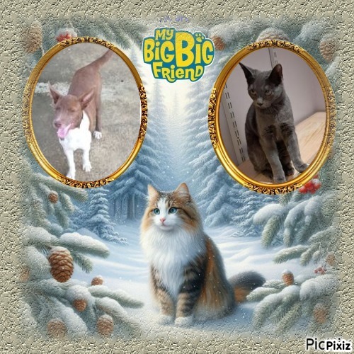 TuckersMom uploaded   98  day/s  ago