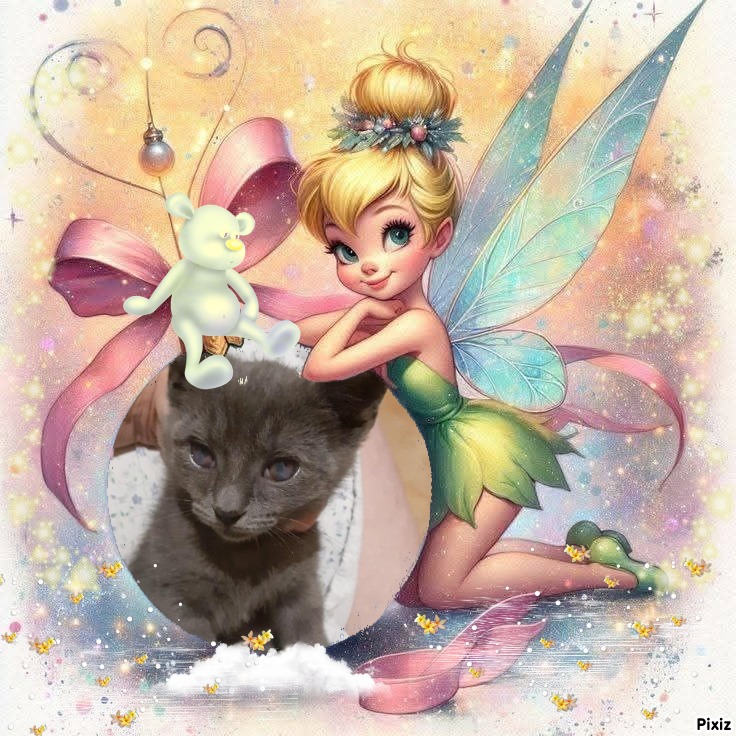 TuckersMom uploaded   98  day/s  ago