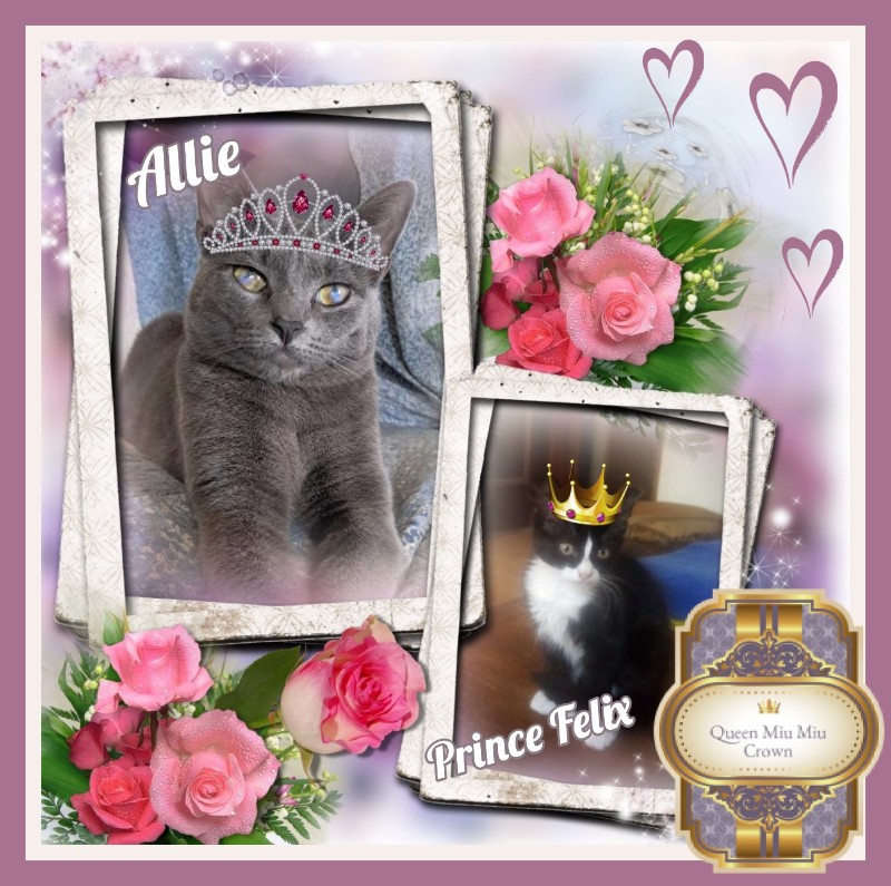 Allie of the TuckersMom family