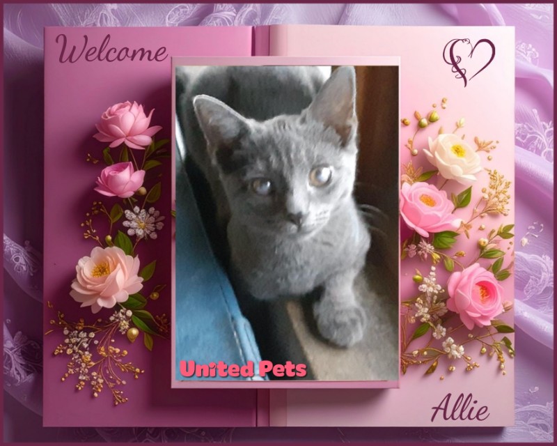 TuckersMom uploaded   98  day/s  ago