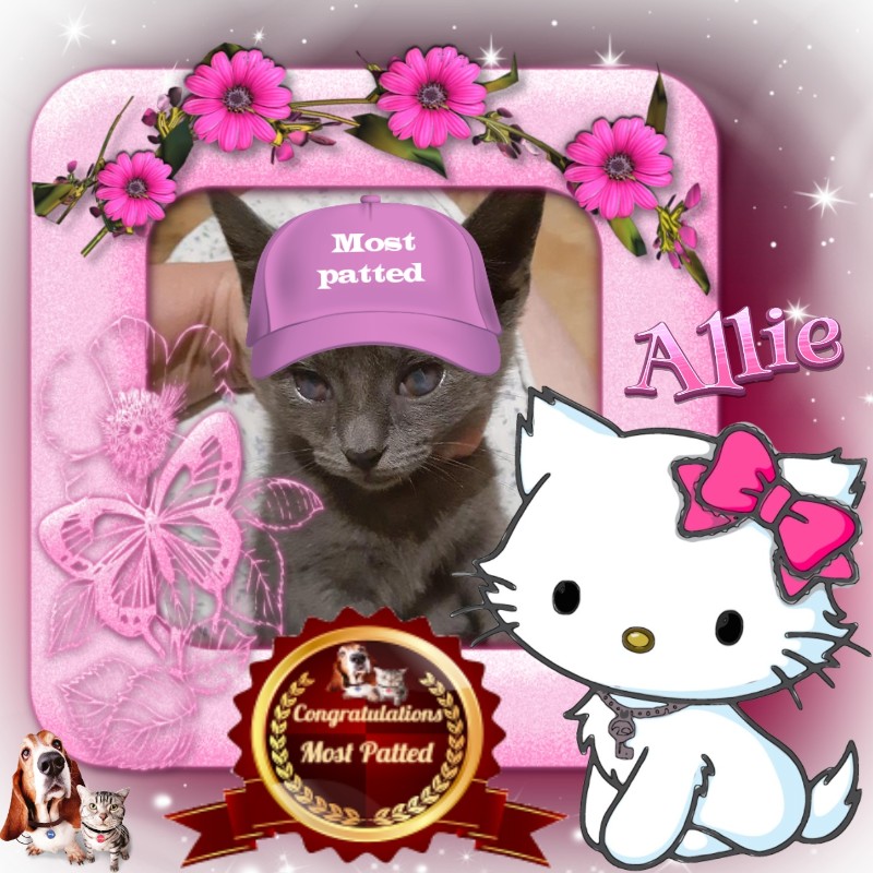 TuckersMom uploaded   98  day/s  ago