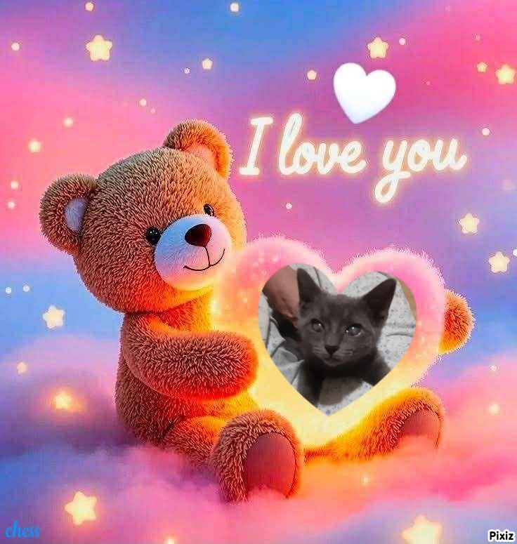 TuckersMom uploaded   98  day/s  ago