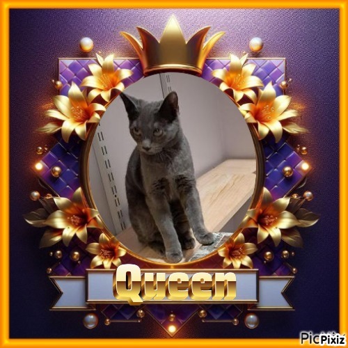 Allie of the TuckersMom family