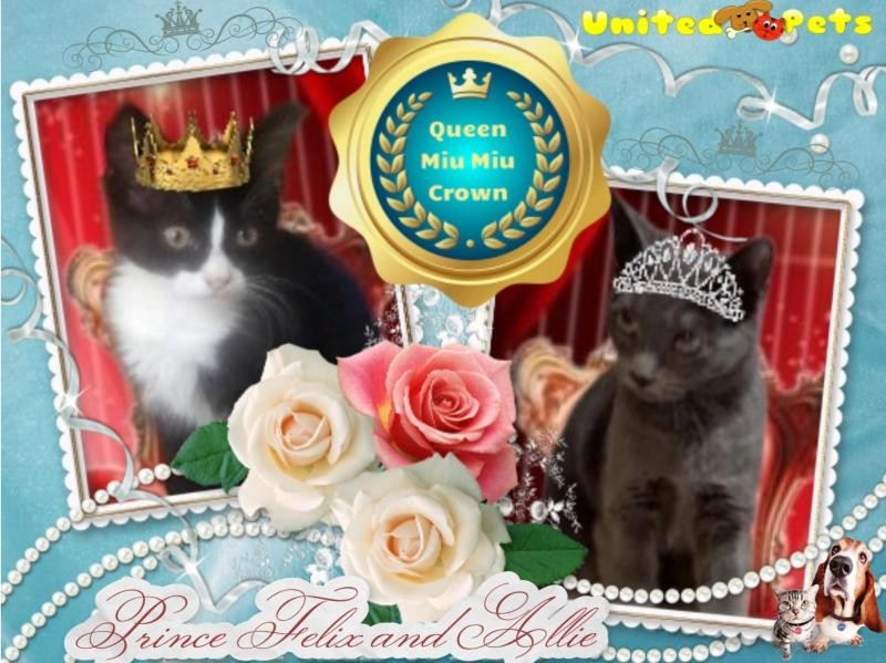 Allie of the TuckersMom family