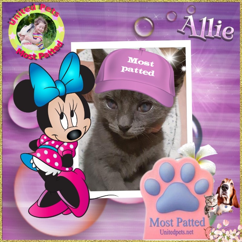 TuckersMom uploaded   98  day/s  ago