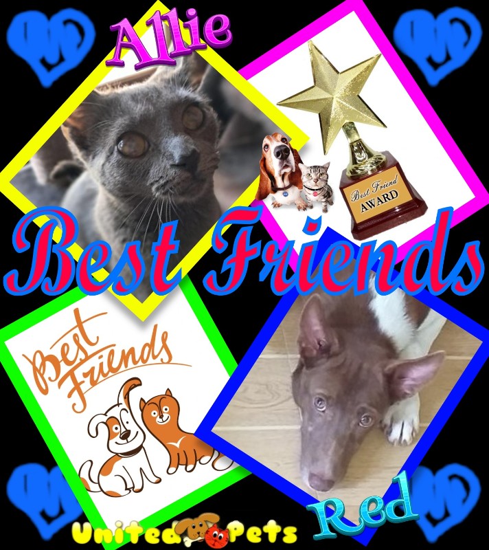 TuckersMom uploaded   98  day/s  ago