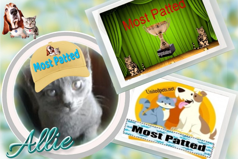 TuckersMom uploaded   98  day/s  ago