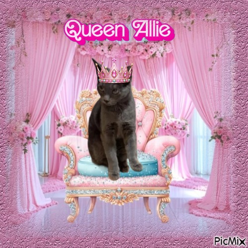 Allie of the TuckersMom family