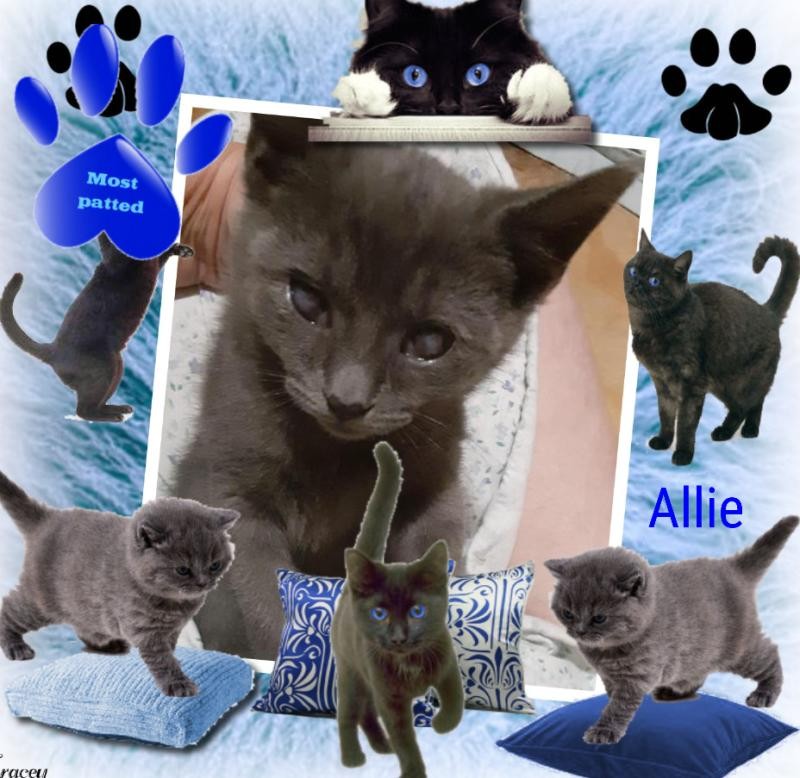 TuckersMom uploaded   98  day/s  ago