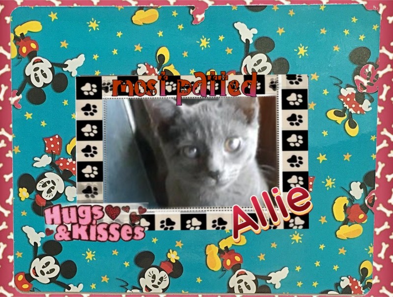 TuckersMom uploaded   98  day/s  ago