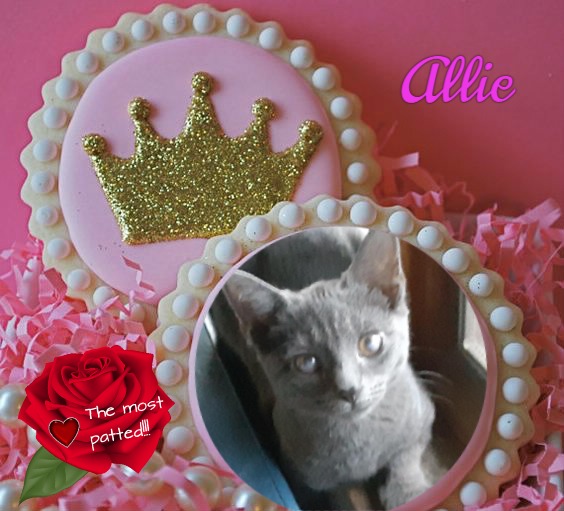 TuckersMom uploaded   98  day/s  ago