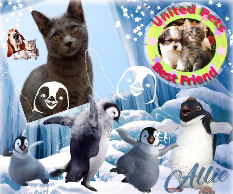 Allie of the TuckersMom family